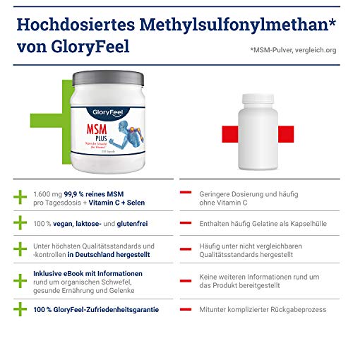 Gloryfeel 330 MSM Kapseln Intensiv 1.600mg - 3
