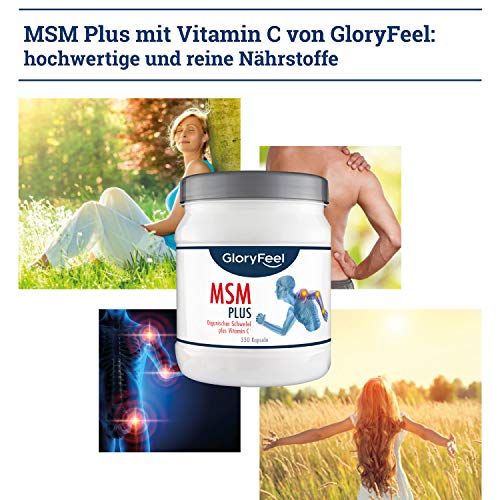 Gloryfeel 330 MSM Kapseln Intensiv 1.600mg - 6