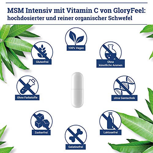 Gloryfeel 240 MSM Kapseln Intensiv 1.600mg - 3