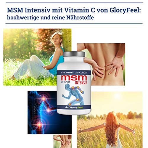 Gloryfeel 240 MSM Kapseln Intensiv 1.600mg - 3