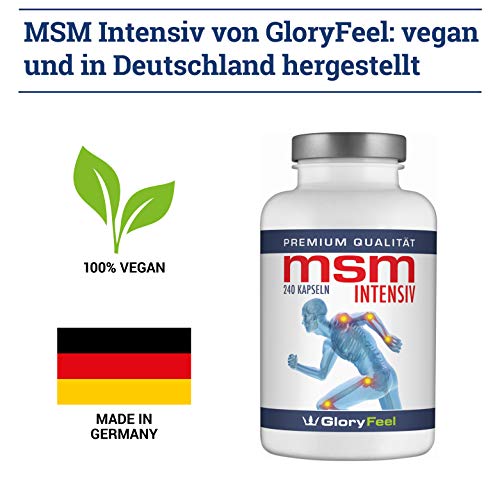 Gloryfeel 240 MSM Kapseln Intensiv 1.600mg - 4