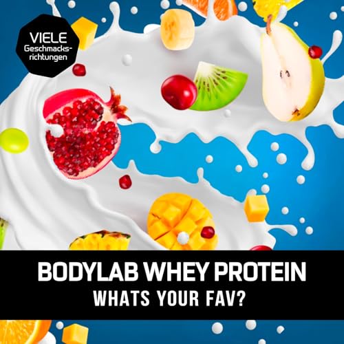 Bodylab24 Whey Protein Schoko 2000g - 3