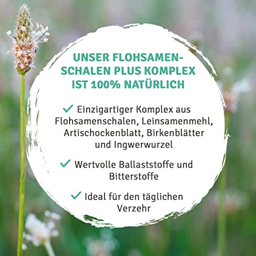 InnoNature Colon Cleanse 120 Flohsamenschalen Kapseln im Monatsvorrat - 6