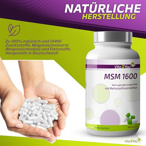 Vita2You MSM 1200 360 Kapseln hochdosiert - 5