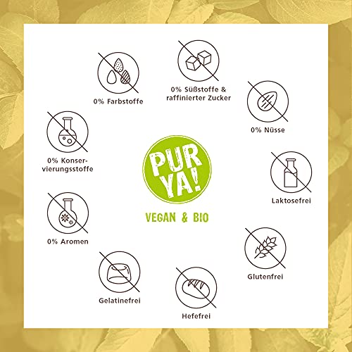 Purya Bio Vegan High-Protein 550g - 2