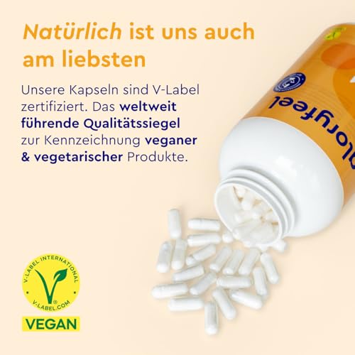 Gloryfeel 365 MSM Kapseln mit Vitamin C - 6