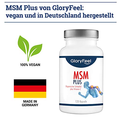 Gloryfeel 120 MSM Kapseln Intensiv 1.600mg - 7
