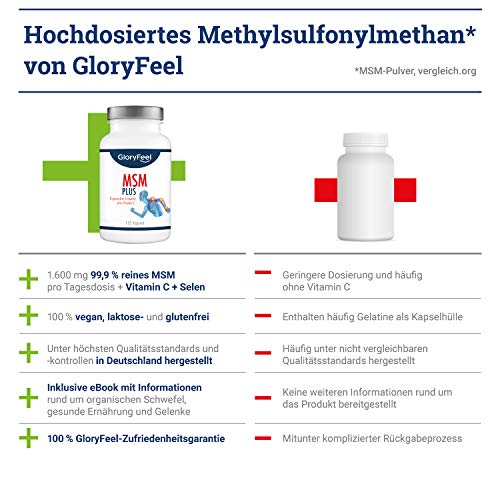 Gloryfeel 120 MSM Kapseln Intensiv 1.600mg - 3