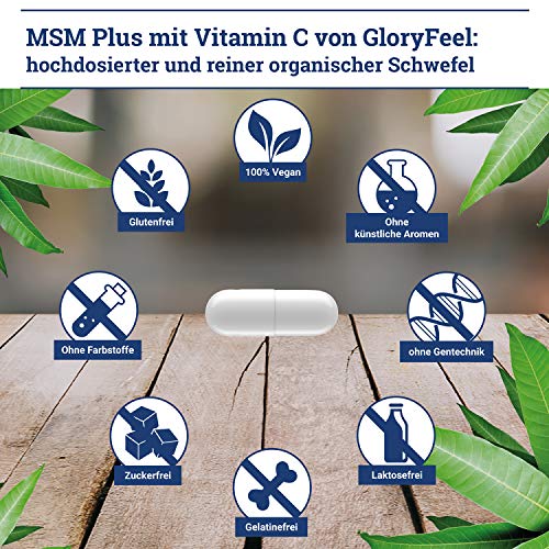 Gloryfeel 120 MSM Kapseln Intensiv 1.600mg - 2