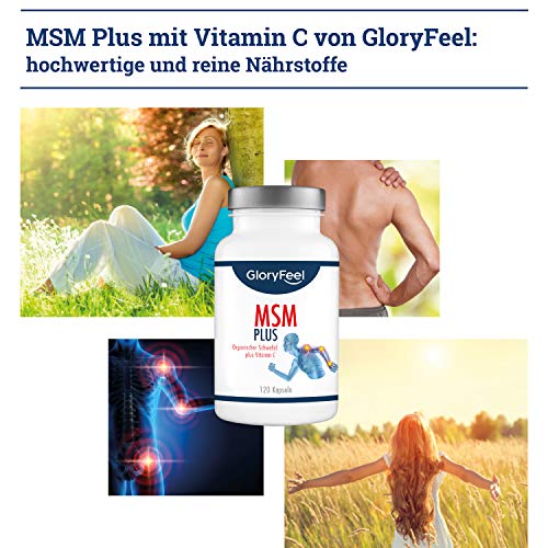 Gloryfeel 120 MSM Kapseln Intensiv 1.600mg - 5